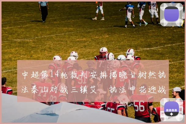 中超第14轮裁判安排揭晓甘树然执法泰山对战三镇艾堃执法申花迎战新鹏城